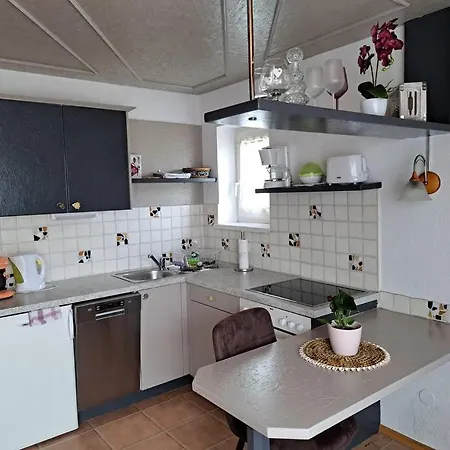 Direkt Am 2 Apartment Altmuenster